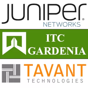 Juniper Itc Gardenia Tavant